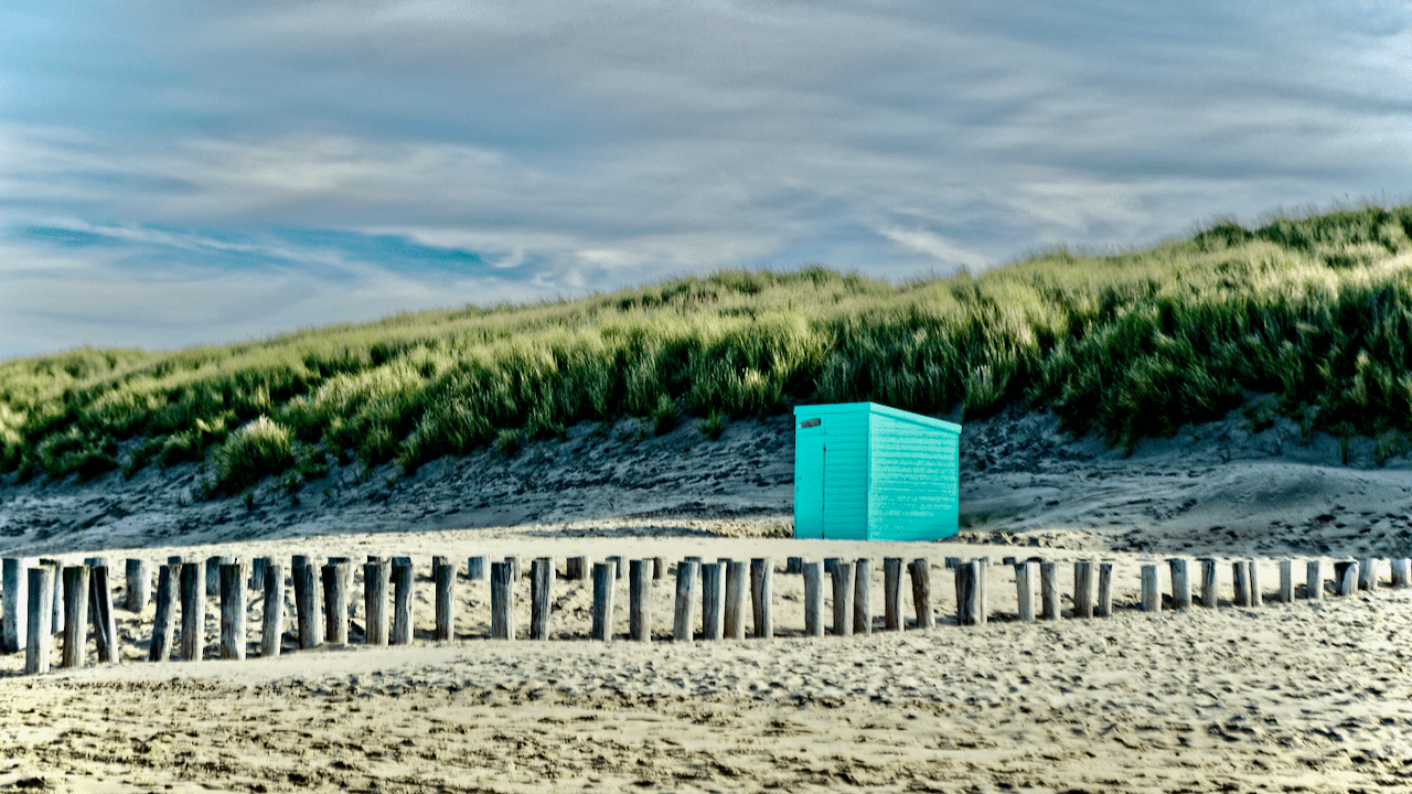 Leren als Kernproces van Wendbare Organisaties